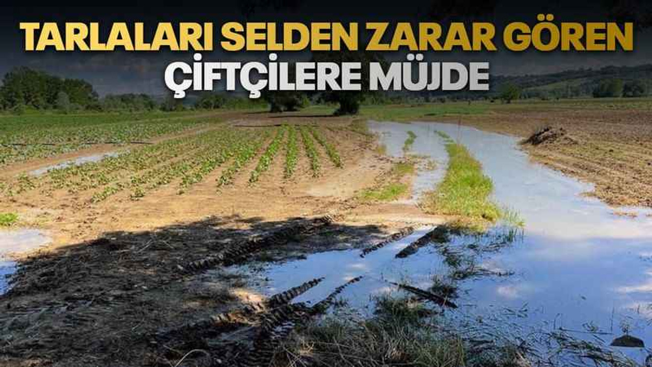 Tarlaları selden zarar gören çiftçilere müjde